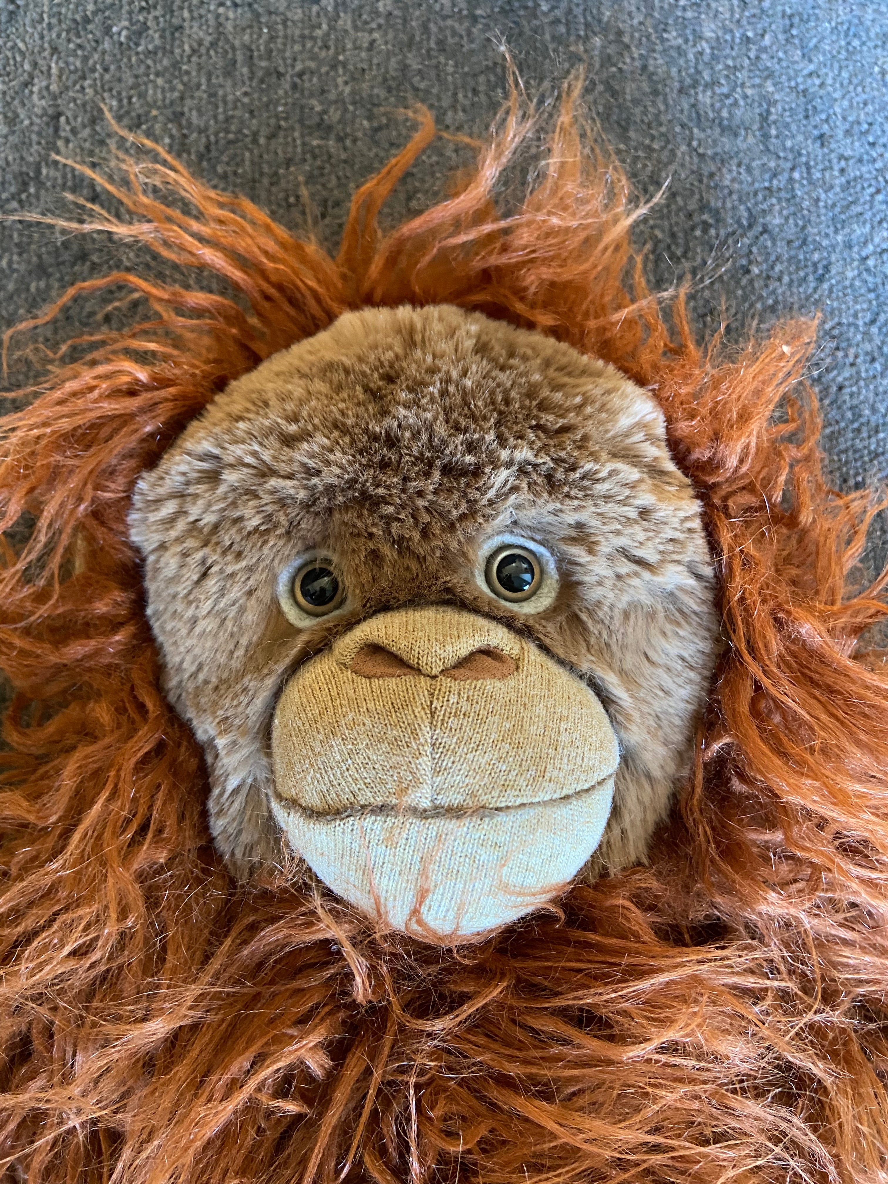 Oscar The Friendly Orangutan