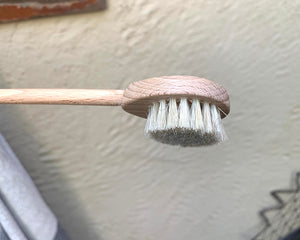 Curved Back Brush